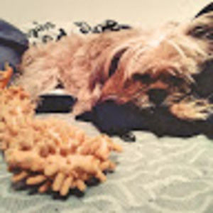 Meet your Posher, Danielle